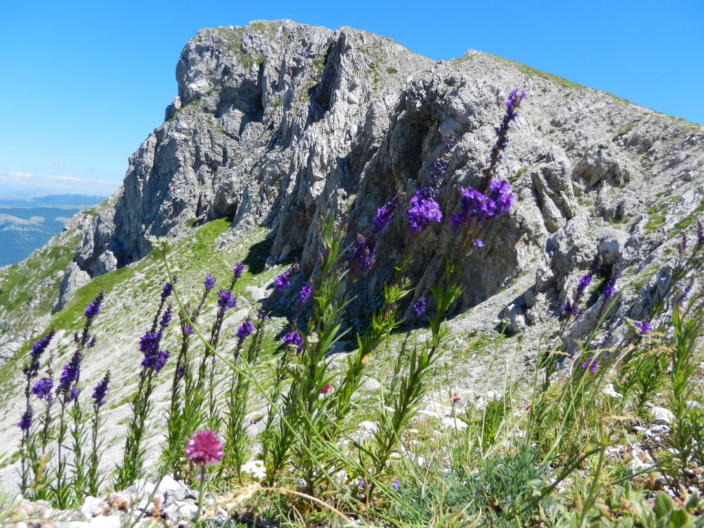 Pizzo Deta, impressionante parete con diverse caratteristiche geologiche.Vedi articolo Geologia.