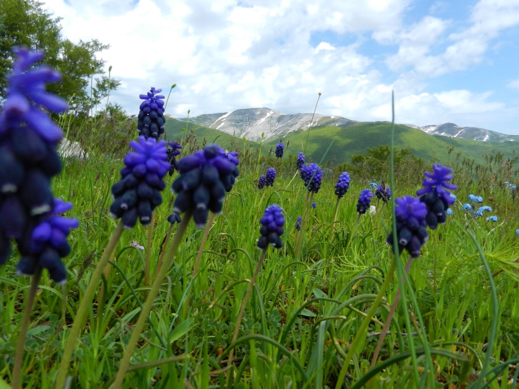 Monte Ginepro e Monte Fragara