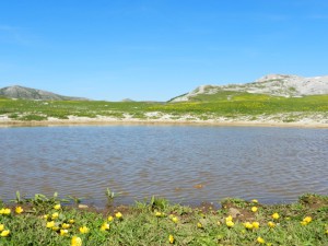 Campo Catino