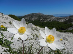 Vista di Monte Crepacuore