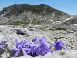 Peschio delle Ciavole