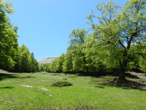 Pozzotello