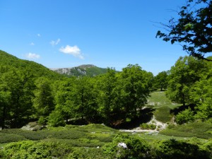 Campo Catino visto da M. Crepacuore